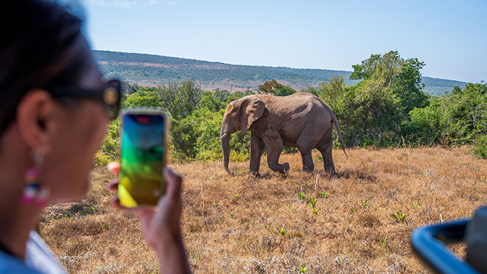 野生動物に出会う